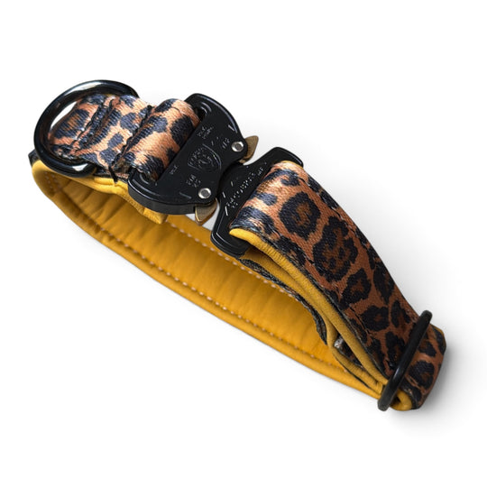 Collier Mini Cobra 2,5 cm pour petits chiens & chiots (25 cm-37 cm)