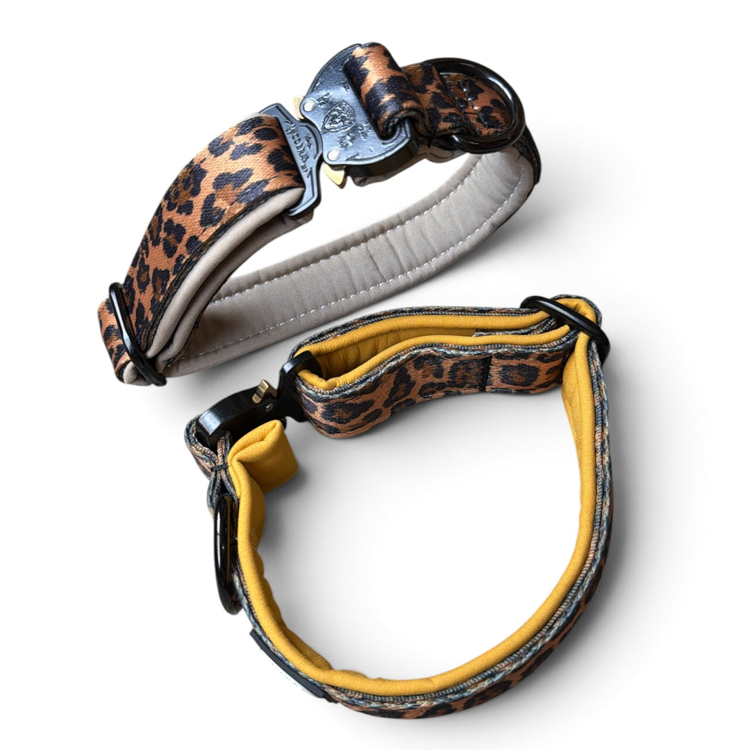 Collier Mini Cobra 2,5 cm pour petits chiens & chiots (25 cm-37 cm)