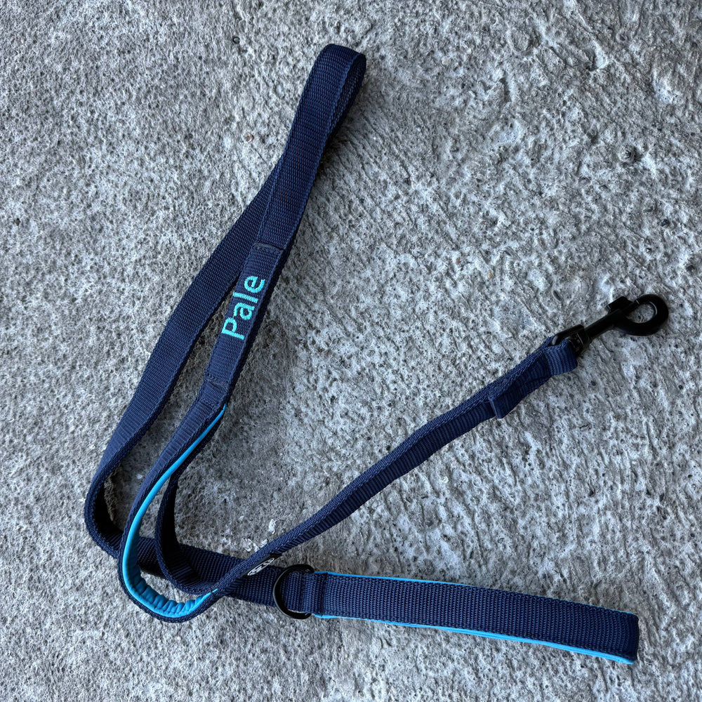 2.5 cm <tc>leash</tc> personalized with standard carabiner, Frog Cable or Frog 360