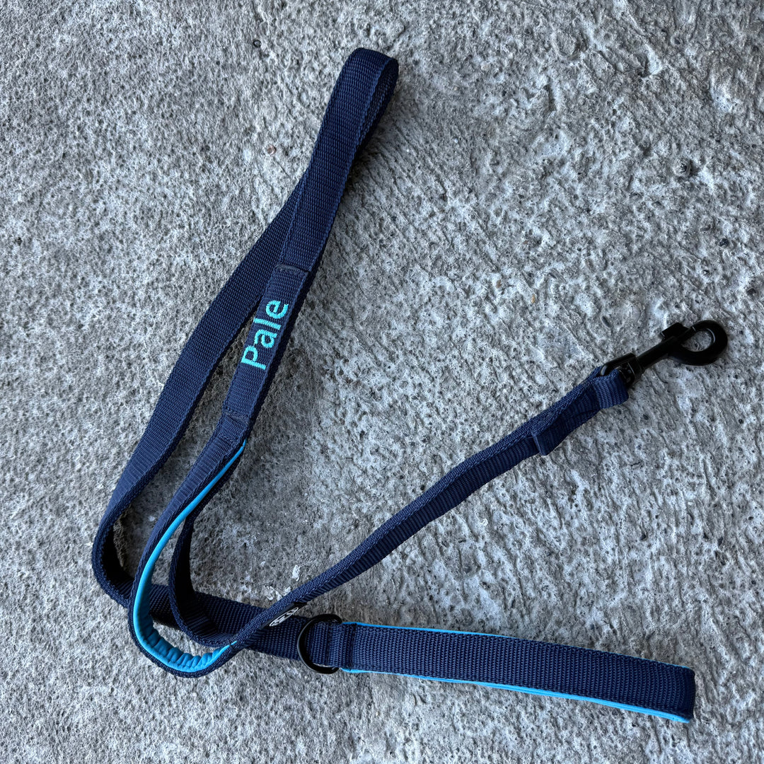2.5 cm <tc>leash</tc> personalized with standard carabiner, Frog Cable or Frog 360
