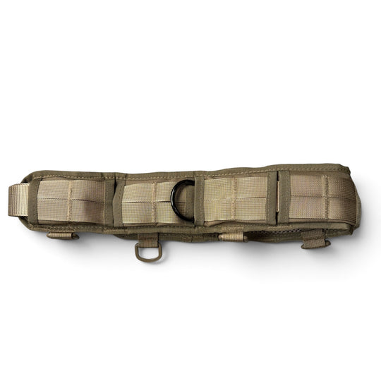 Emergency belt/padded dog walking belt with original AUSTRIALPIN COBRA® buckle