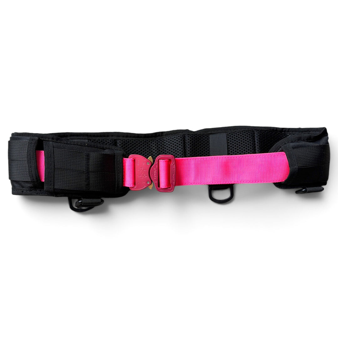 Ceinture de service/ceinture rembourrée pour promener son chien avec AUSTRIALPIN COBRA® d'origine <tc>mousqueton</tc>