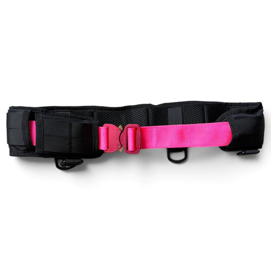 Ceinture de service/ceinture rembourrée pour promener son chien avec AUSTRIALPIN COBRA® d'origine <tc>mousqueton</tc>