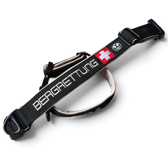 Your Choice - personalisiertes Hundehalsband nach Mass 2.5 cm/4 cm/5 cm breit - mit Cobra Schnalle