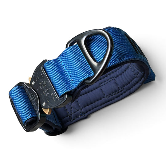 Your Choice - personalisiertes Hundehalsband nach Mass 2.5 cm/4 cm/5 cm breit - mit Cobra Schnalle