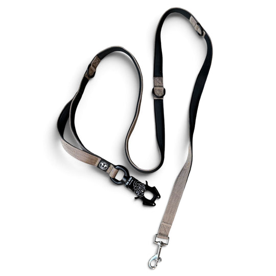 Titan Leine sand 2 m 2.5 cm breit verstellbar mit Frog 360 voll gepolstert
