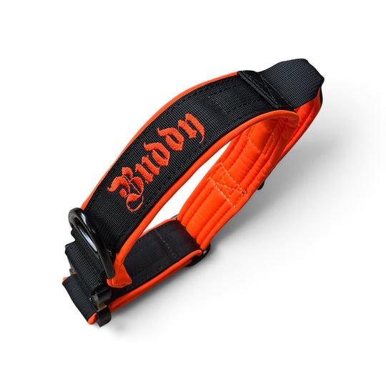 Votre choix - Collier pour chien personnalisé sur mesure, largeur 2,5 cm/4 cm/5 cm - avec Cobra <tc>mousqueton</tc>