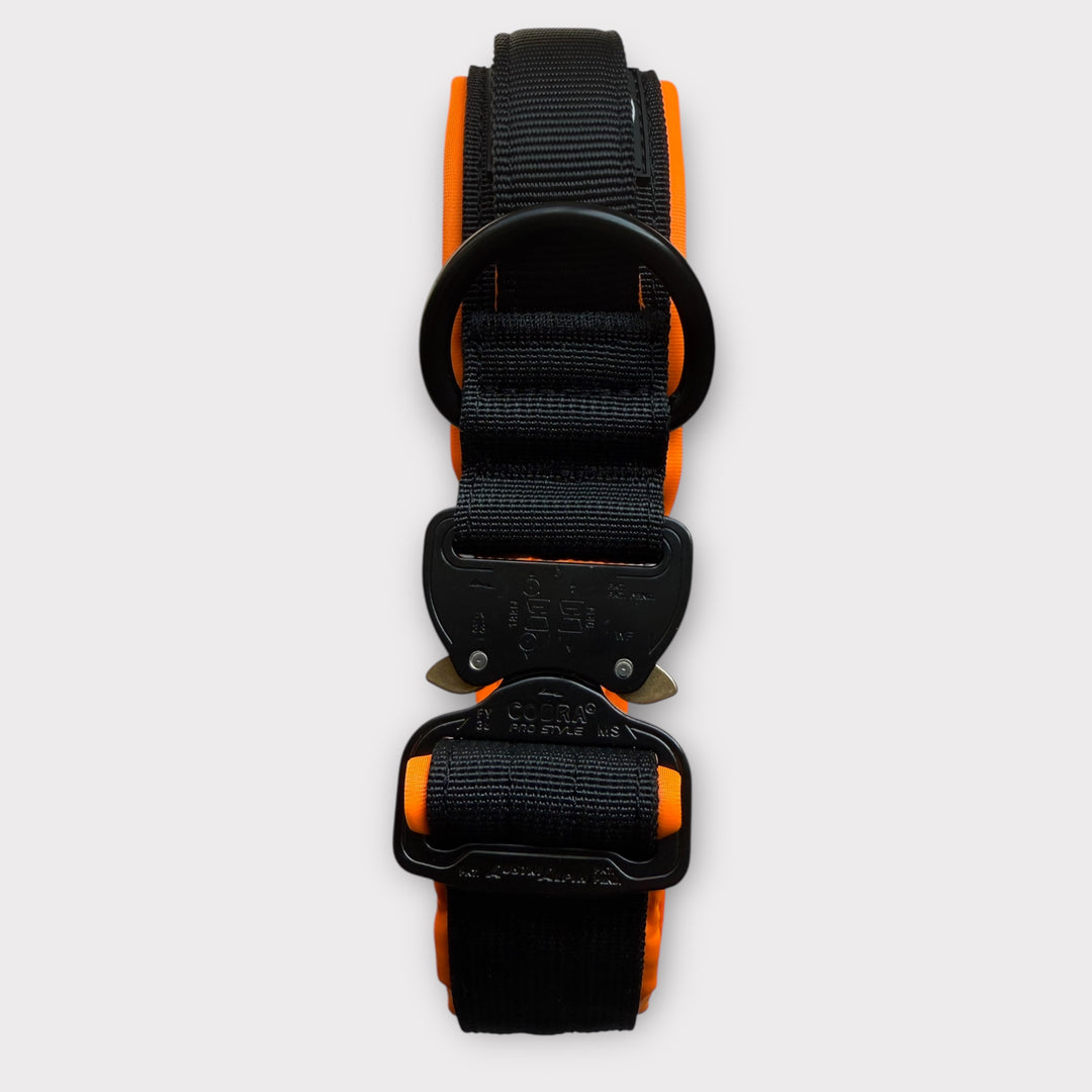 On Duty V2 Halsband Don't Touch Magnetgriff 4 cm breit (37-65 cm) - schwarz/orange