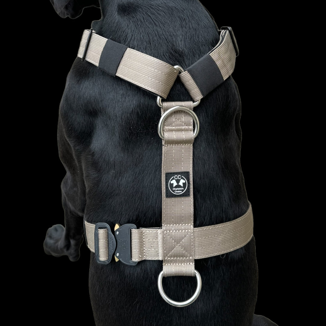 NEW: Cobra 3Point chest harness On Duty black (M-XL 105cm)