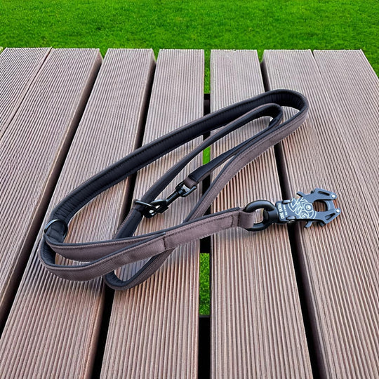 2,5 cm <tc>laisse</tc> personnalisé avec mousqueton standard, Frog Cable ou Frog 360