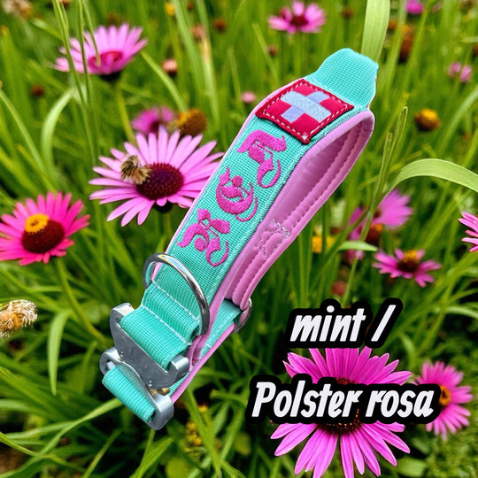 Your Choice - Mass Halsband 2.5 cm/4 cm/5 cm breit Konfigurator