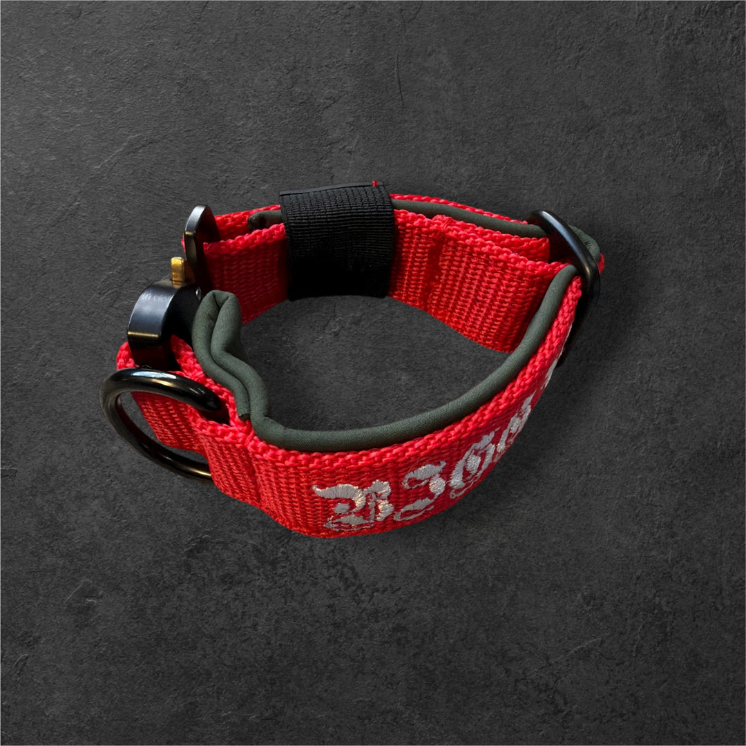 Your Choice - Mass Halsband 2.5 cm/4 cm/5 cm breit