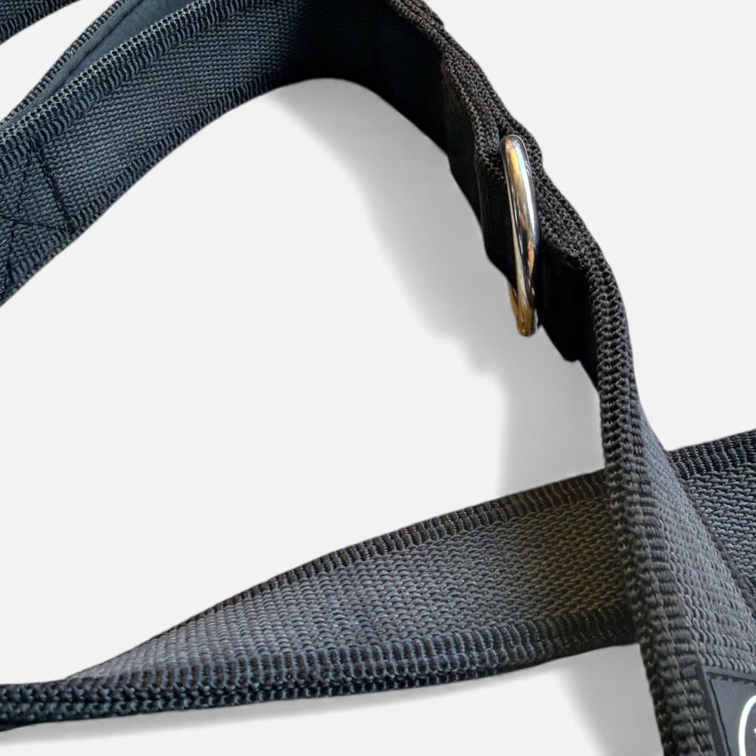 3.8 cm Breite gummierte Leine 2.2 m lang, mit Frog 360 oder Edelstahlkarabiner, verstellbar.