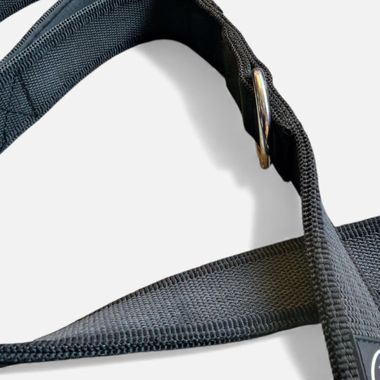 3.8 cm Breite gummierte Leine 2.2 m lang, mit Frog 360 oder Edelstahlkarabiner, verstellbar.