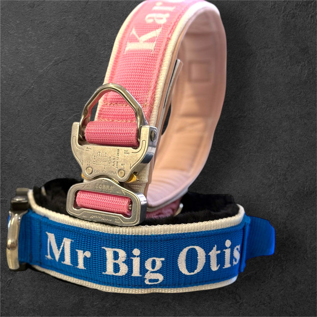 Luxury <tc>Heavy Duty</tc> collar mass collar configurator 5 cm / 7 cm / 10 cm for large dogs