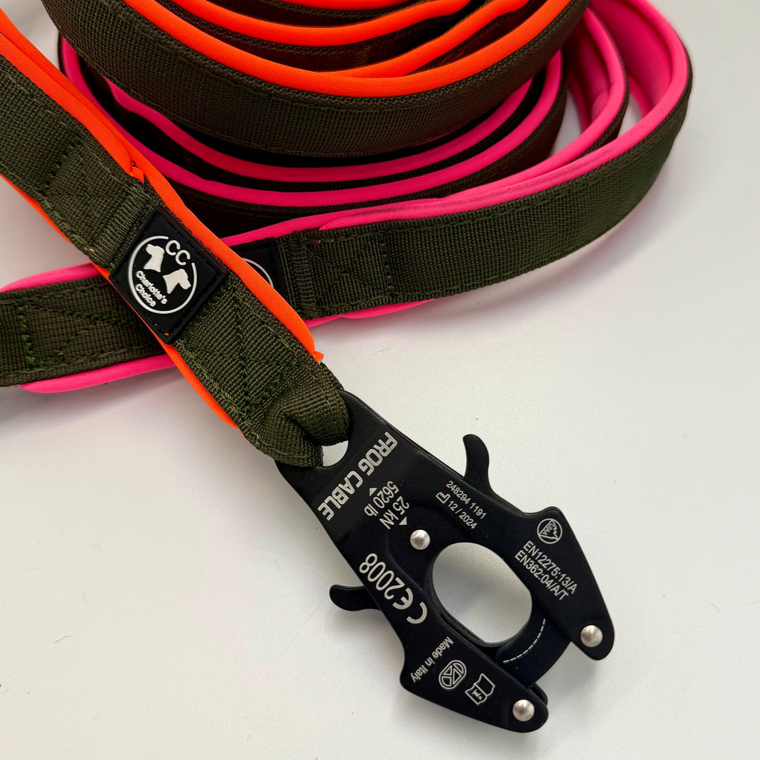Starke Hundeleine mit frog Cable