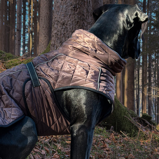 Steppo V2 Canine Comfort-Hundemantel (55 cm-76 cm)