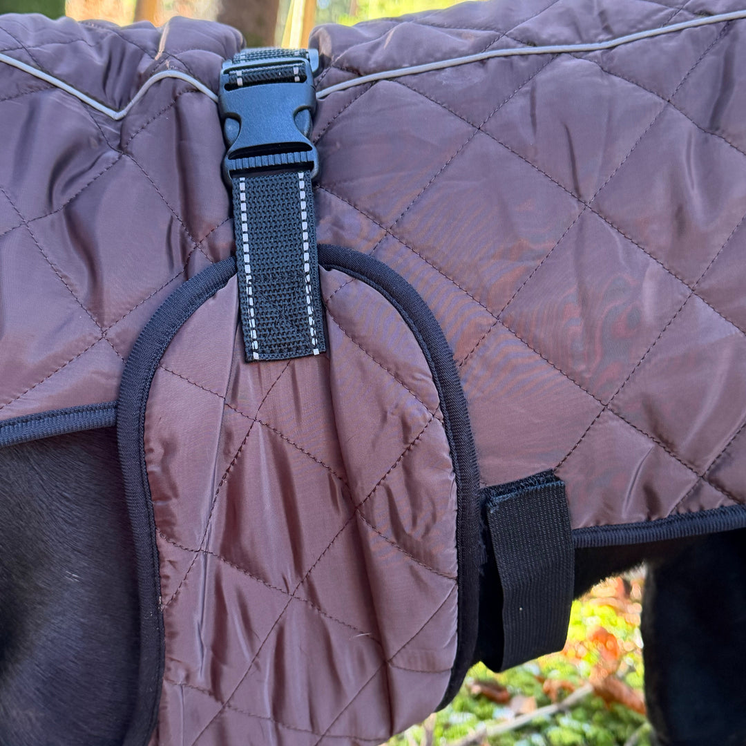 Steppo V2 Canine Comfort-Hundemantel (55 cm-76 cm)