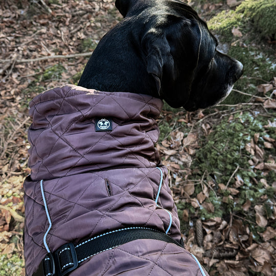 Steppo V2 Canine Comfort-Hundemantel (55 cm-76 cm)