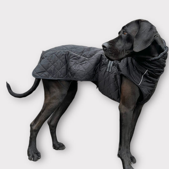 Steppo Canine Comfort-Hundemantel schwarz (45cm-76cm) ki