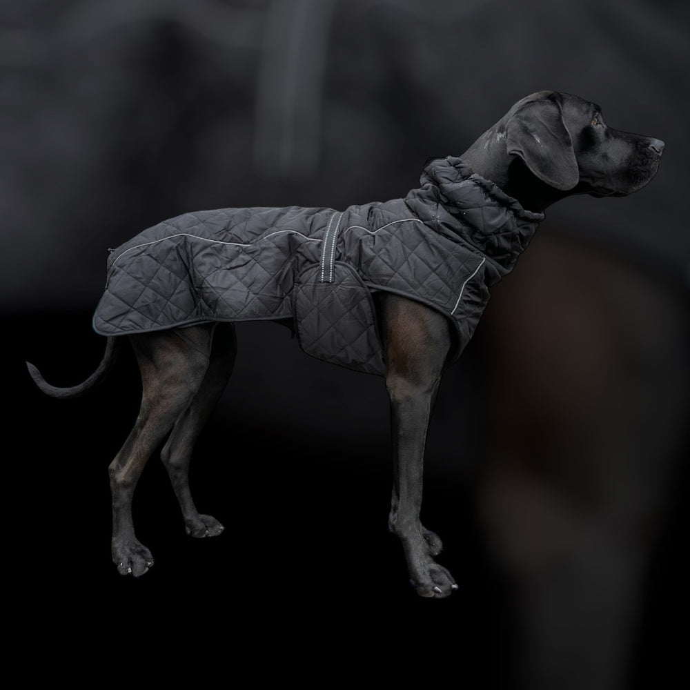 Steppo Canine Comfort-Hundemantel schwarz (45cm-76cm) ki