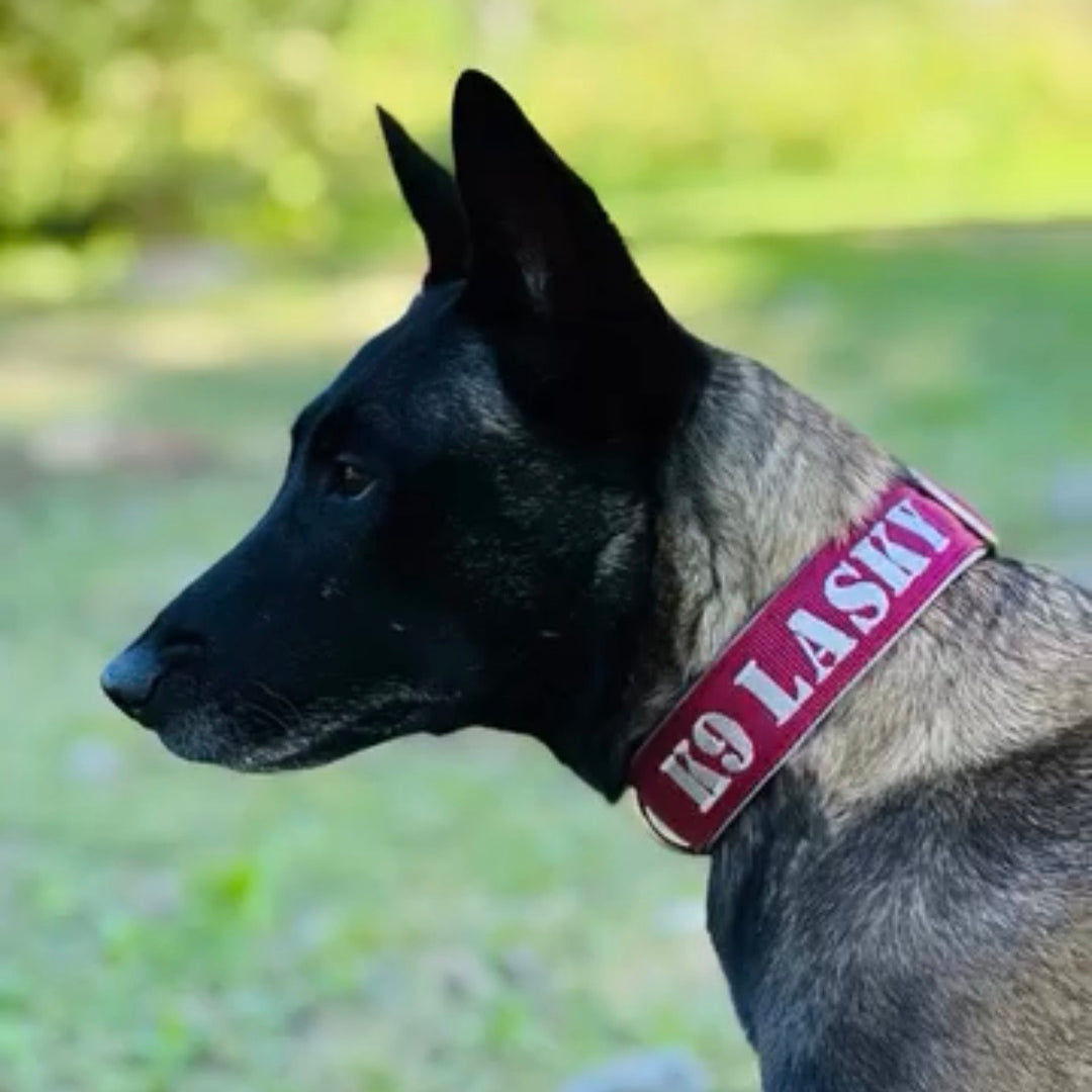 Your Choice - Mass Halsband 2.5 cm/4 cm/5 cm breit