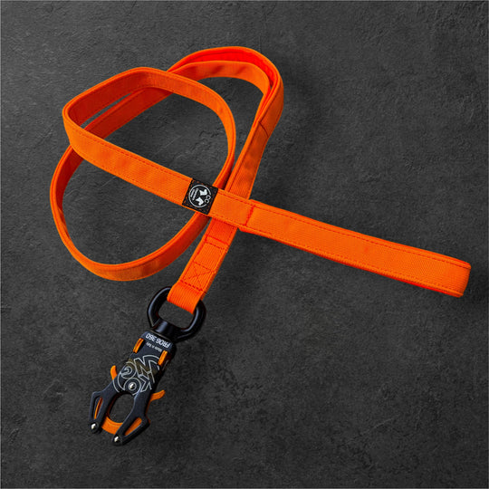 On Duty Leine 1.5 m 2.5 cm breit Kong Frog 360 für sehr grosse Hunde 80 kg+