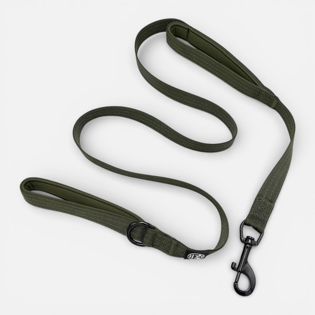 <tc>On Duty</tc> <tc>laisse</tc> 1,50 m 2,5 cm de large avec boucle de maintien courte