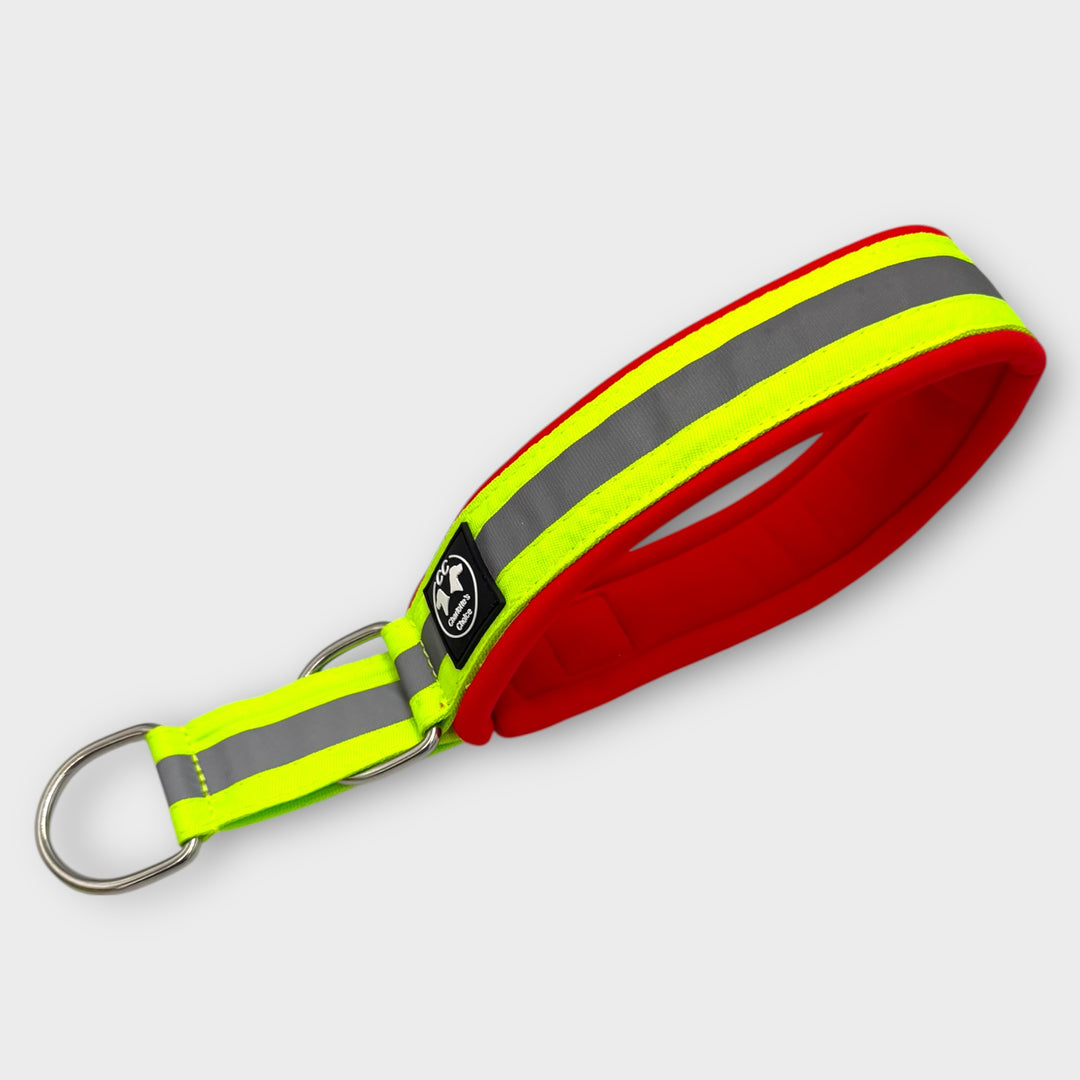 Rettungshund lawinenhund Halsband Reflektoren leuchtend neon gelb Diensthund DRK