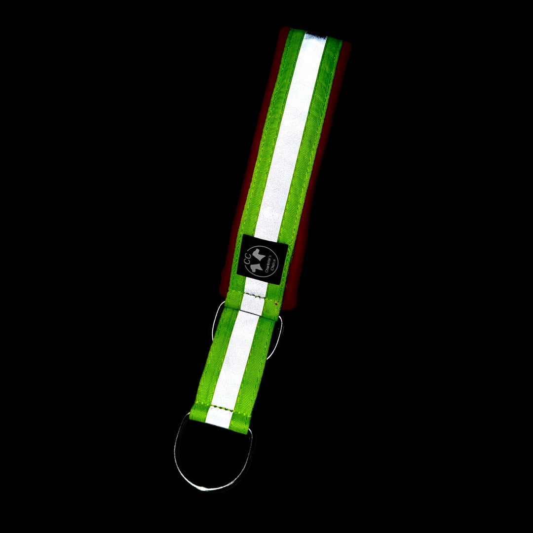 Rettungshund lawinenhund Halsband Reflektoren leuchtend neon gelb Diensthund Deutsches Rotes Kreuz