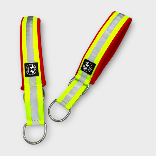 Rettungshund lawinenhund Halsband Reflektoren leuchtend neon gelb Diensthund