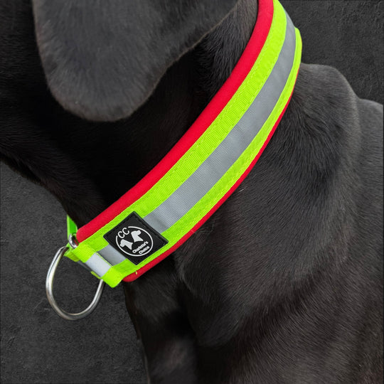 Rettungshund lawinenhund Halsband Reflektoren leuchtend neon gelb Suchhunde