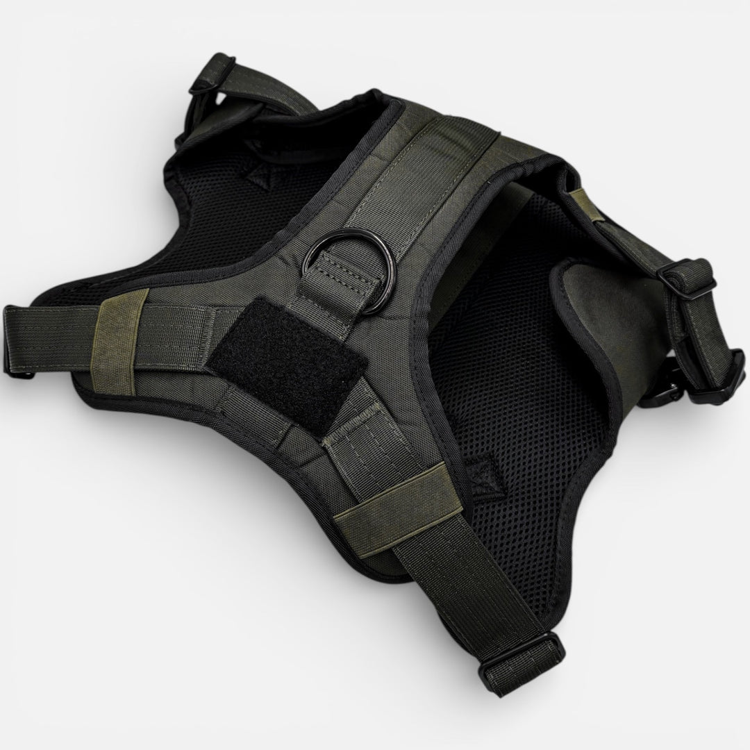 Alltrail CC-K9 Deluxe Hundegeschirr - 4 Metallschnallen & hochwertige Fertigung