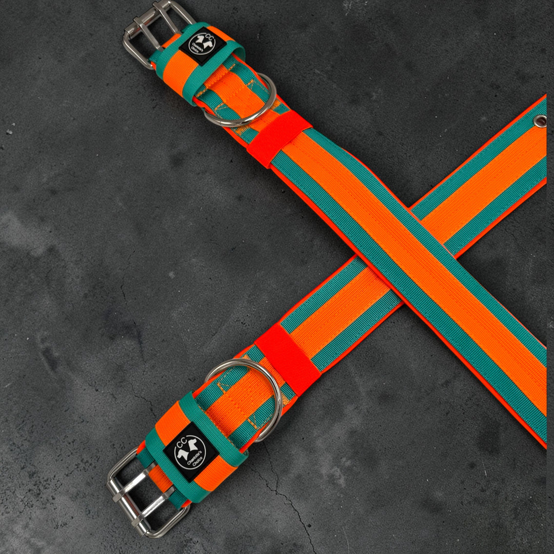 Neu: Guardian-CC Halsband 5cm breit (34 cm-62 cm)