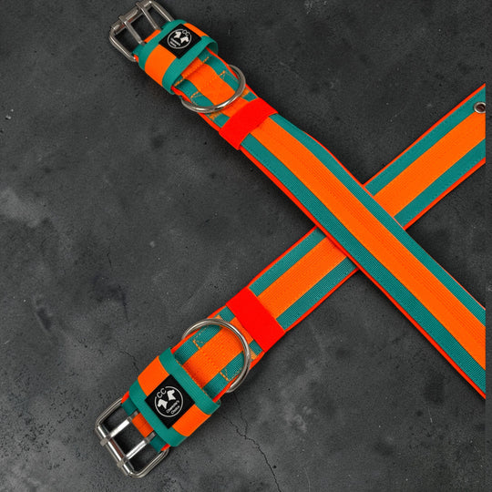 Neu: Guardian-CC Halsband 5cm breit (34 cm-62 cm)