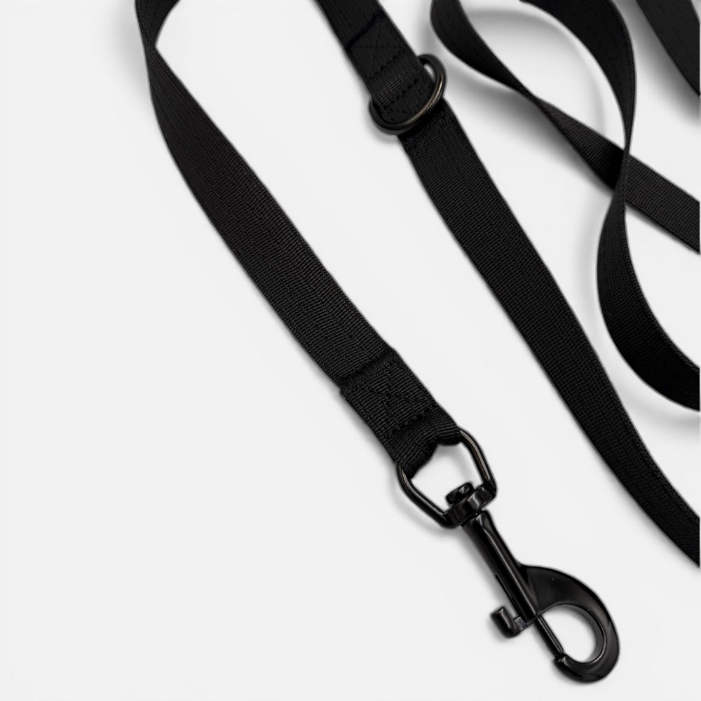 On Duty Leine 2.20 m 2.5 cm breit verstellbar ohne Kurzführgriff