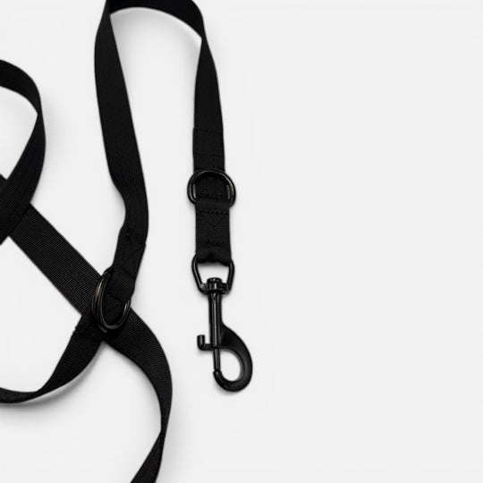 On Duty Leine 2.20 m 2.5 cm breit verstellbar ohne Kurzführgriff