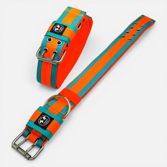 Neu: Guardian-CC Halsband 5cm breit (34 cm-62 cm)