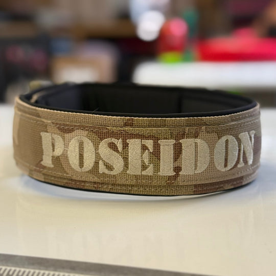 2.5 cm <tc>leash</tc> personalized with standard carabiner, Frog Cable or Frog 360