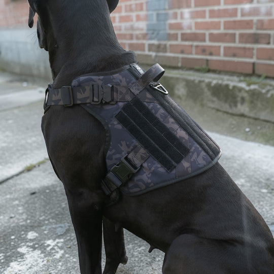 Alltrail CC-K9 Eco light Hundegeschirr  - Black camouflage