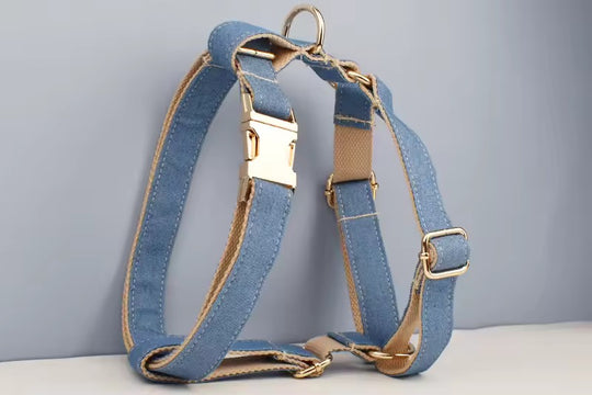 CC Mini Welpen Halsband Leine Geschirr mit Gravur Denim