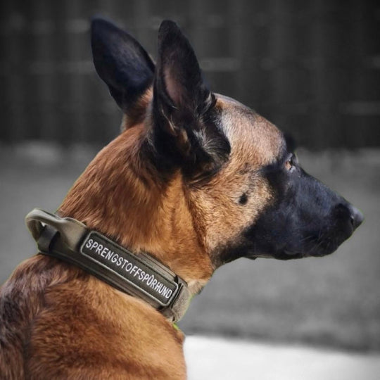 Super SALE % Tac Team Army Cobra Halsband (51 cm-61 cm)