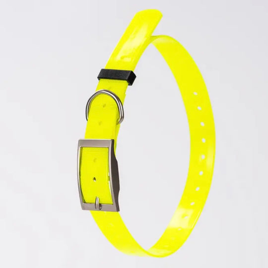 Additional collar for XT Tracker