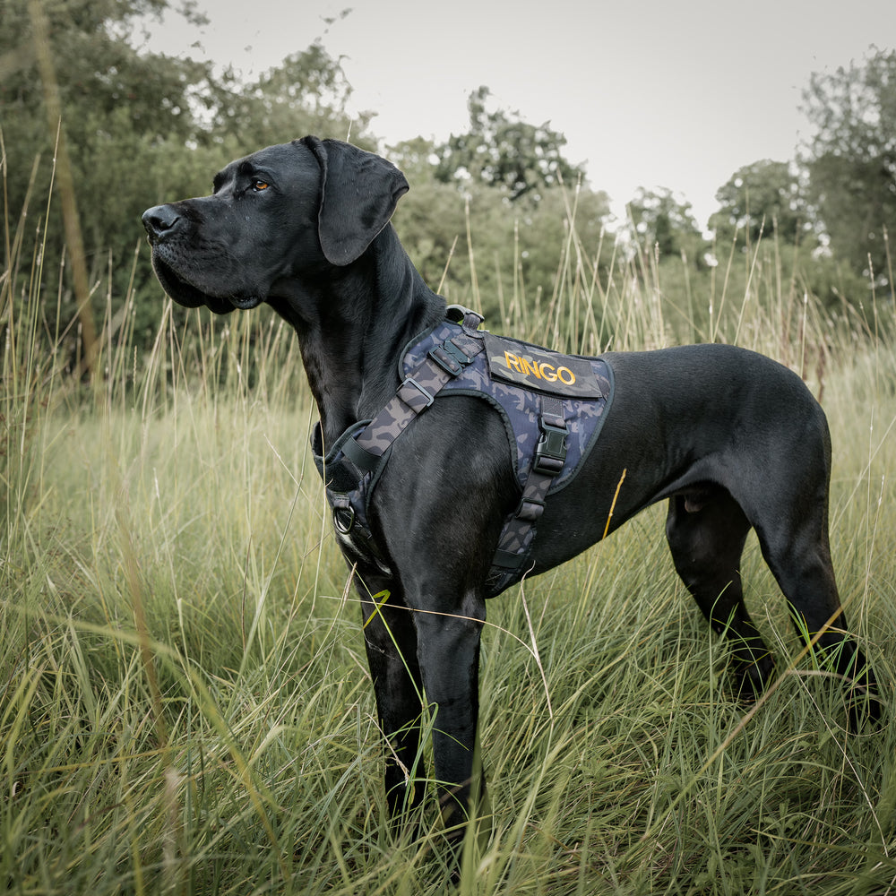 Alltrail CC -K9 Eco Light Dog Dowers - Black Camouflage