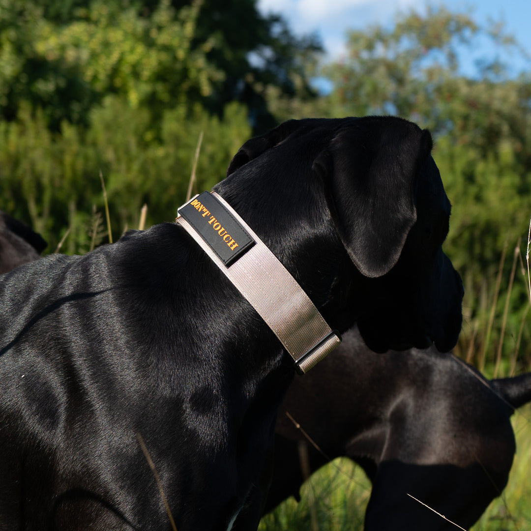 Halsband breit mit grossem Hund