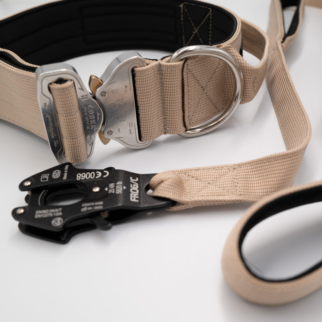 Verschlüsse für Sicherheit beim Hund