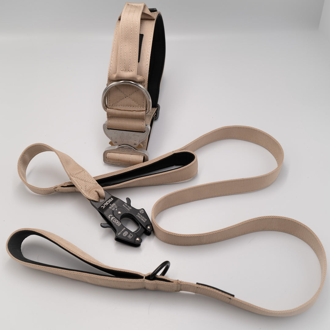 Leinen und Halsband Set für grosse Hunde