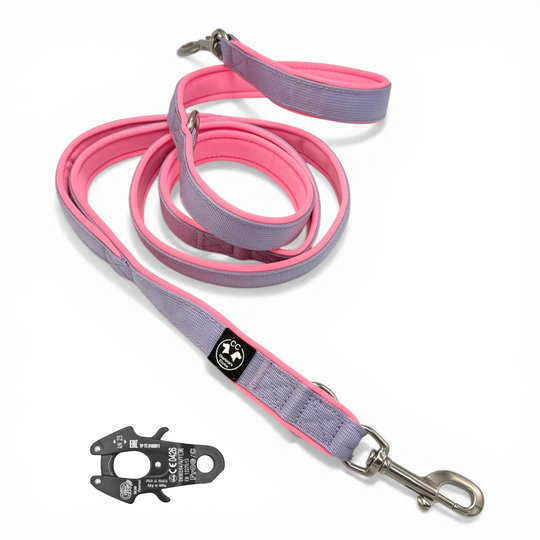 Adjustable <tc>leash</tc> 2.20 m Candy fully upholstered