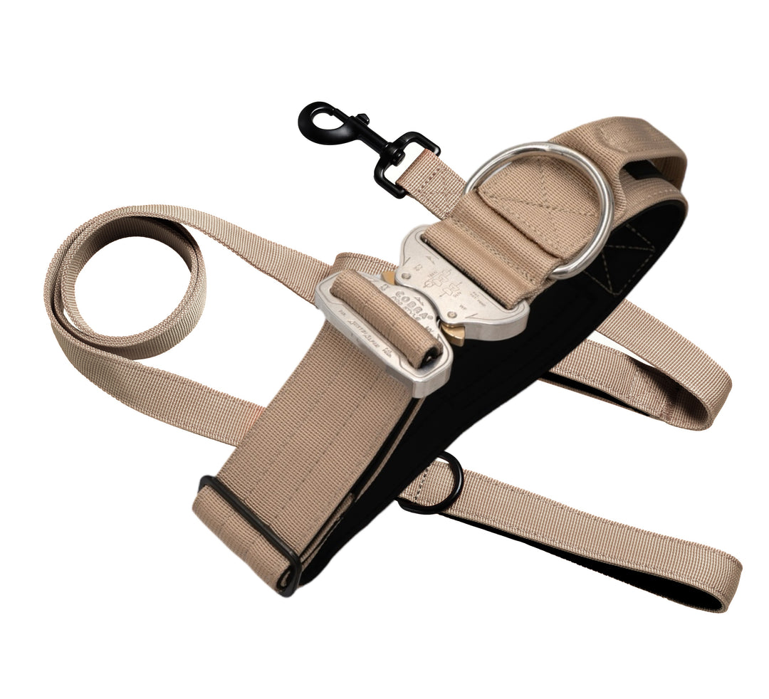 Leine und Halsband für Hunde beige