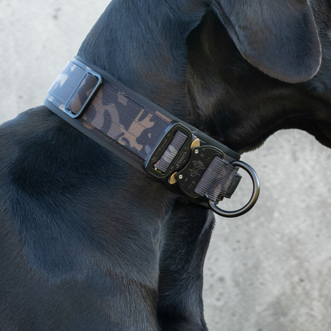 Magnetgriff Halsband 5 cm breit für sehr grosse starke Hunde mit pink Cobra Schnalle von Austrialpin an Cane Corso Rottweiler